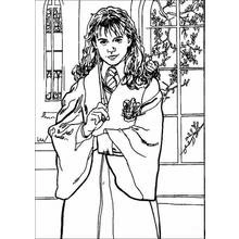 Dibujo Harry Potter (Películas y Series de TV) #69759 para imprimir y colorear