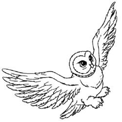 Dibujo para colorear: Harry Potter (Películas y Series de TV) #69876 - Dibujos para Colorear e Imprimir Gratis