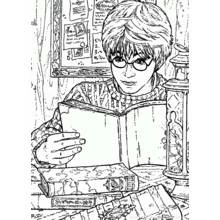 Dibujo Harry Potter (Películas y Series de TV) #69882 para imprimir y colorear