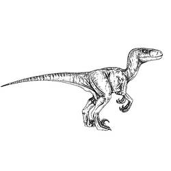 Dibujo para colorear: Parque Jurásico (Películas y Series de TV) #15888 - Dibujos para Colorear e Imprimir Gratis
