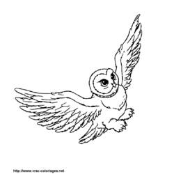 Dibujo para colorear: Harry Potter (Películas) #69812 - Dibujos para Colorear e Imprimir Gratis