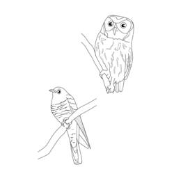 Dibujo para colorear: Hobbit (Películas) #71286 - Dibujos para Colorear e Imprimir Gratis
