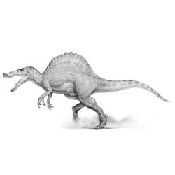 Dibujo para colorear: Jurassic Park (Películas) #15890 - Dibujos para colorear