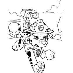 Dibujo para colorear: Marcus PAW Patrol (Personajes de Dibujos Animados) #181671 - Dibujos para Colorear e Imprimir Gratis