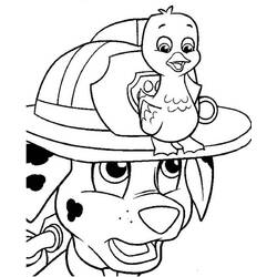 Dibujo para colorear: Marcus PAW Patrol (Personajes de Dibujos Animados) #181678 - Dibujos para Colorear e Imprimir Gratis