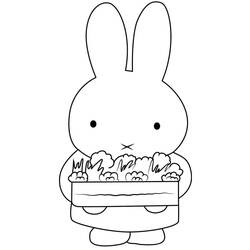 Dibujo para colorear: Miffy (Personajes de Dibujos Animados) #202760 - Dibujos para Colorear e Imprimir Gratis