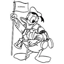Dibujo Pato Donald (Personajes de Dibujos Animados) #30233 para imprimir y colorear