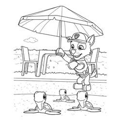 Dibujo para colorear: Rocky PAW Patrol (Personajes de Dibujos Animados) #181722 - Dibujos para Colorear e Imprimir Gratis