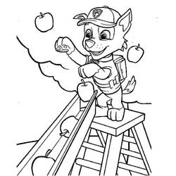 Dibujo para colorear: Rocky PAW Patrol (Personajes de Dibujos Animados) #181729 - Dibujos para Colorear e Imprimir Gratis
