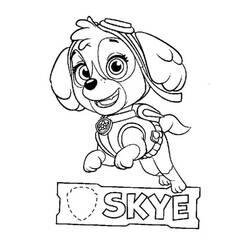 Dibujo para colorear: Stella PAW Patrol (Personajes de Dibujos Animados) #181699 - Dibujos para Colorear e Imprimir Gratis