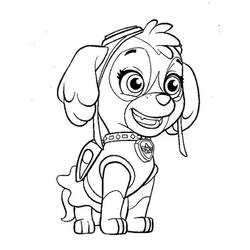 Dibujo para colorear: Stella PAW Patrol (Personajes de Dibujos Animados) #181701 - Dibujos para Colorear e Imprimir Gratis