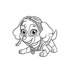 Dibujo para colorear: Stella PAW Patrol (Personajes de Dibujos Animados) #181703 - Dibujos para Colorear e Imprimir Gratis