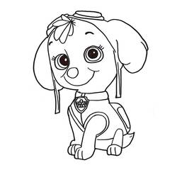 Dibujo para colorear: Stella PAW Patrol (Personajes de Dibujos Animados) #181705 - Dibujos para Colorear e Imprimir Gratis