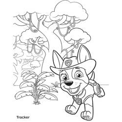 Dibujo para colorear: Tracker PAW Patrol (Personajes de Dibujos Animados) #181743 - Dibujos para Colorear e Imprimir Gratis