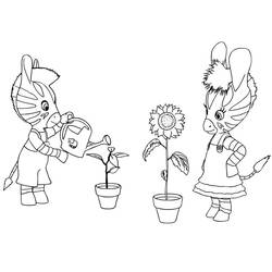 Dibujos para colorear: Zou - Dibujos para Colorear e Imprimir Gratis