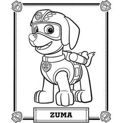 Dibujo para colorear: Zuma PAW Patrol (Personajes de Dibujos Animados) #181691 - Dibujos para Colorear e Imprimir Gratis