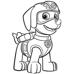 Dibujo para colorear: Zuma PAW Patrol (Personajes de Dibujos Animados) #181693 - Dibujos para Colorear e Imprimir Gratis