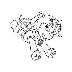 Dibujo para colorear: Zuma PAW Patrol (Personajes de Dibujos Animados) #181695 - Dibujos para Colorear e Imprimir Gratis