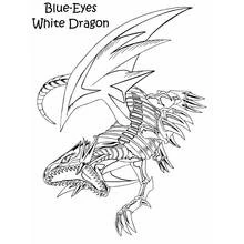 Dibujo Dragón (Personajes) #5720 para imprimir y colorear