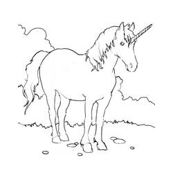 Dibujo para colorear: Unicornio (Personajes) #19470 - Dibujos para Colorear e Imprimir Gratis