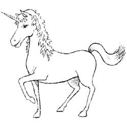 Dibujo para colorear: Unicornio (Personajes) #19534 - Dibujos para Colorear e Imprimir Gratis
