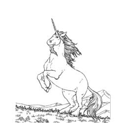 Dibujo para colorear: Unicornio (Personajes) #19552 - Dibujos para Colorear e Imprimir Gratis