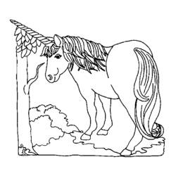 Dibujo para colorear: Unicornio (Personajes) #19568 - Dibujos para Colorear e Imprimir Gratis
