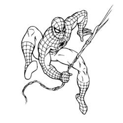 Dibujo para colorear: Hombre Araña (Superhéroes y Supervillanos) #78688 - Dibujos para Colorear e Imprimir Gratis