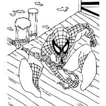 Dibujo Hombre Araña (Superhéroes y Supervillanos) #78708 para imprimir y colorear