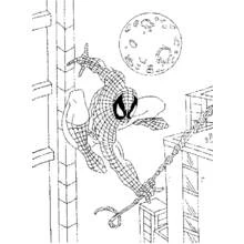Dibujo Hombre Araña (Superhéroes y Supervillanos) #78711 para imprimir y colorear