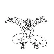 Dibujo Hombre Araña (Superhéroes y Supervillanos) #78769 para imprimir y colorear