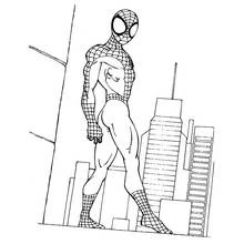 Dibujo Hombre Araña (Superhéroes y Supervillanos) #78821 para imprimir y colorear