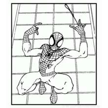 Dibujo Hombre Araña (Superhéroes y Supervillanos) #78958 para imprimir y colorear