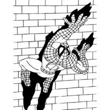Dibujo Hombre Araña (Superhéroes y Supervillanos) #78984 para imprimir y colorear