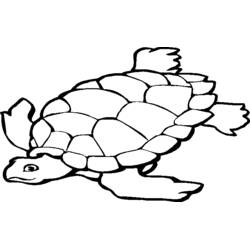 Dibujo Ninja Turtles (Superhéroes y Supervillanos) #75554 para imprimir y colorear