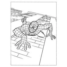 Dibujo Súper Héroes Marvel (Superhéroes y Supervillanos) #80052 para imprimir y colorear