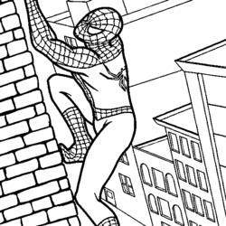 Dibujo para colorear: Spiderman (Superhéroes) #78647 - Dibujos para colorear