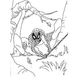 Dibujo para colorear: Spiderman (Superhéroes) #78750 - Dibujos para Colorear e Imprimir Gratis