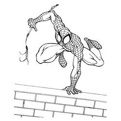 Dibujo para colorear: Spiderman (Superhéroes) #78881 - Dibujos para Colorear e Imprimir Gratis
