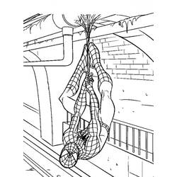 Dibujo para colorear: Spiderman (Superhéroes) #78898 - Dibujos para Colorear e Imprimir Gratis