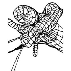 Dibujo para colorear: Spiderman (Superhéroes) #78914 - Dibujos para Colorear e Imprimir Gratis