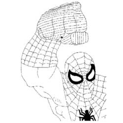 Dibujo para colorear: Spiderman (Superhéroes) #78956 - Dibujos para Colorear e Imprimir Gratis