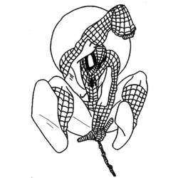 Dibujo para colorear: Spiderman (Superhéroes) #78960 - Dibujos para Colorear e Imprimir Gratis